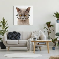 Stupell Cat Face Hipster naočale životinje i insekti slikati galerija zamotana platna za tisak zidne umjetnosti