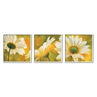 Botanička i cvjetna slika u bijelom okviru, zidni tisak, set od 3