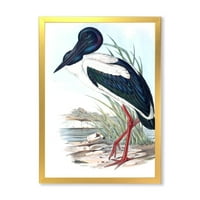 DesignArt 'Australian Vintage ptice I' tradicionalni uokvireni umjetnički tisak