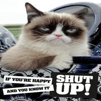 Grumpy Cat - Umukni zidni plakat, 22.375 34