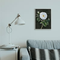 Stupell Industries Bijeli mak ilustracija vintage cvijet trnja siva uokvirena Daphne Polselli