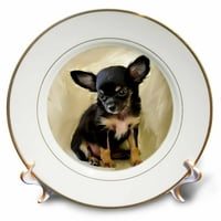 Porculanski tanjur za štenad Chihuahua-4467-1