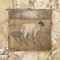 Ispis plakata za ovce Anite Phillips