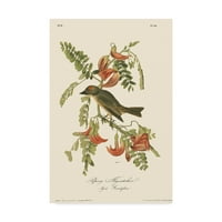Zaštitni znak likovne umjetnosti Pipirijska muholovka, ulje na platnu Johna Jamesa Audubona