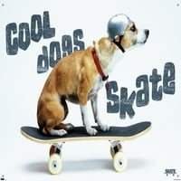 Zidni poster skateboarding Dog s gumbima, 22.375 34