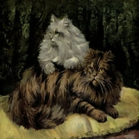 Plakat knjiga o mačkama s ispisom perzijskih mačaka iz mn