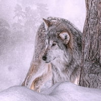 Ispis plakata prvi lov zime - Kellie Parker