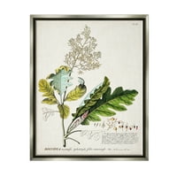 Ilustracija botaničke biljke, lišće vintage dizajna sjajno sivo plutajuće platno uokvireno zidna umjetnost, 16.20