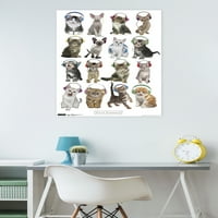 Keith Kimberlin-Zidni plakat s mačićima i slušalicama, 22.375 34
