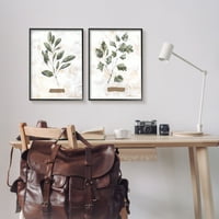 Rustikalno bilje Stupella, grančice bosiljka i peršina, botanička i cvjetna slika, zidni tisak u crnom okviru, set od 2