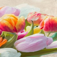Ispis plakata Proljetni tulipani - Luca villa