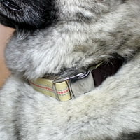 Premium ogrlica za pse za pse, smeđa, velika