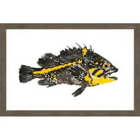 Marmont Hill Crna i žuta riba Michaela Pantalosa, gravura uokvirene slike