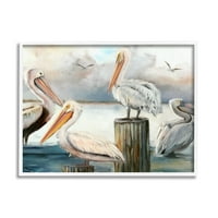 Stupell Industries pelikani smješteni na oblačnom horizontu Obalno slikarstvo u bijelom okviru umjetnički tisak zidna umjetnost