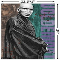 Čarobni svijet: Hari Potter-Voldemort s čarobnim štapićem zidni poster s gumbima, 22.375 34