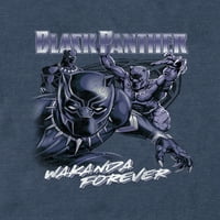 Black Panther Muški grafički paket s kratkim rukavima s kratkim rukavima, 2-pack