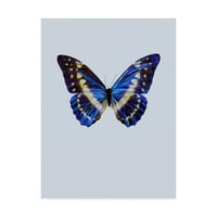 Likovna umjetnost s potpisom studija plavog leptira na platnu iz mumbo-a