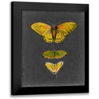 Mccavitt, Naomi Black uokvirena suvremena muzejska umjetnička gravura pod nazivom leptiri na škriljevcu, mn
