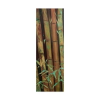Zaštitni znak Fine Art 'Bamboo Finale I' Canvas Art od Suzanne Wilkins