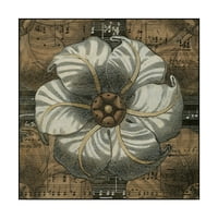 Zaštitni znak likovne umjetnosti 'Detalji rozete III' Canvas Art by Vision Studio