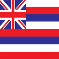 Iskustvo na Havajima: Poster za zastavu na Havajima