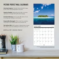 Willow Creek Press succulents zidni kalendar