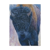 Zaštitni znak likovna umjetnost 'Bull' platno umjetnost Rusty Frentner