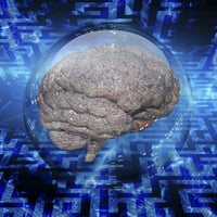 Ljudski mozak u staklenoj sferi. Ispis plakata Brucea Rolffa