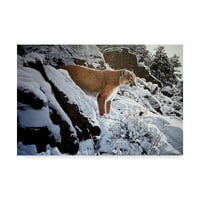 Zaštitni znak likovna umjetnost 'zimska lovoka cougar' platno umjetnost Ron Parker