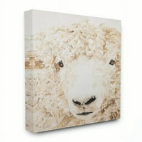 Stupell Industries Sheep Portret Farm Slikati životinje platno zidna umjetnost Diana Fifer, 30 40