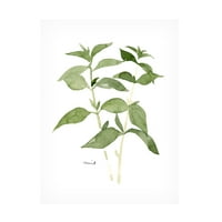 Emma Scarvey 'Herb Garden Sketches I' platno umjetnost