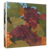 Slike, vrtno grožđe II