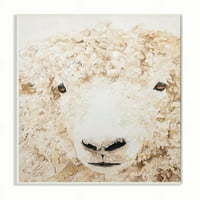 Stupell Industries Sheep Portret Farm Slikati životinje Umjetnost Umjetnička umjetnost Umjetnički print, 10x15
