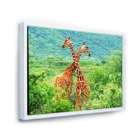 Dvije žirafe koje se bore u bujnom zelenom divlje uokvirenom fotografskom platnu umjetnički tisak