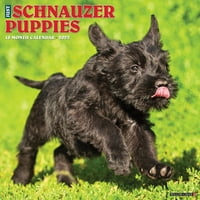 Willow Creek Press Just Schnauzer štenad zidni kalendar